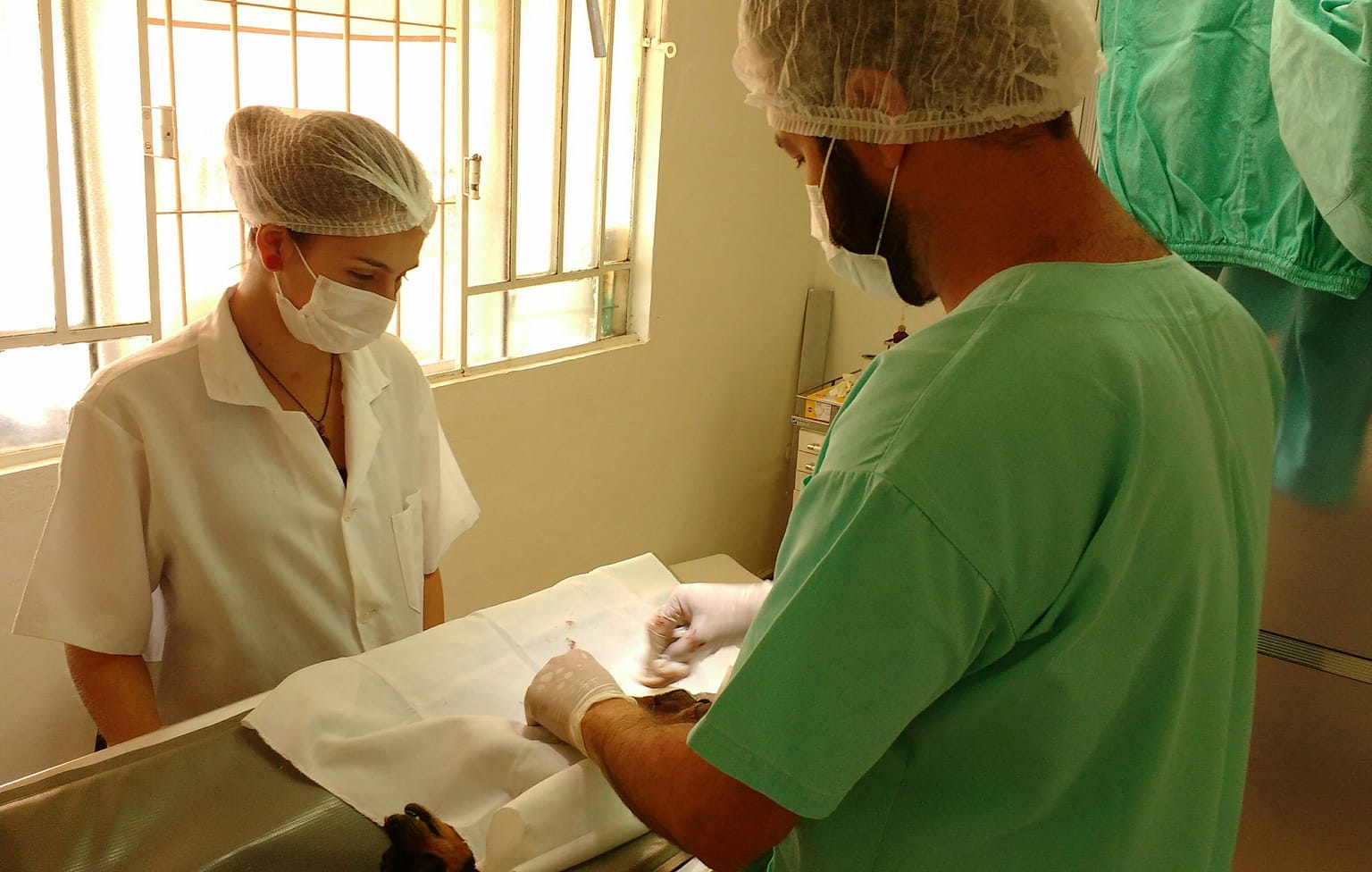 CIRURGIA CASTRAÇÃO